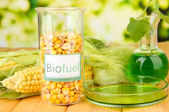 Lent biofuel availability