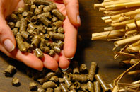 free Lent biomass boiler quotes